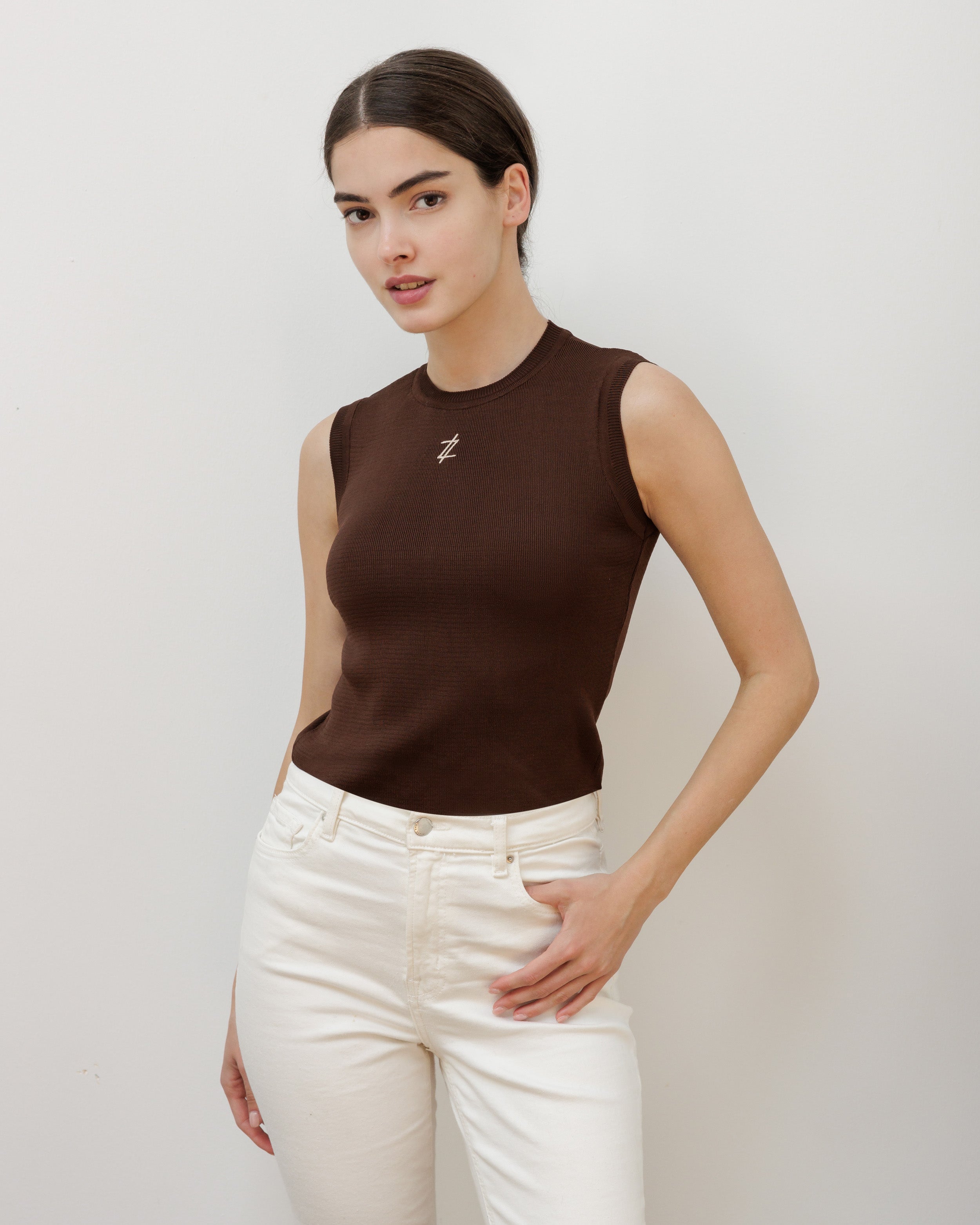 Brown Top